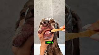 Max Got So Stinky 😨😱