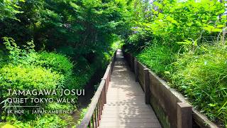 Tokyo Day Walk in Tamagawa Josui | Quiet Forest Waterway | Japan 4K HDR