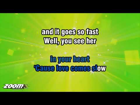 Passenger - Let Her Go - Karaoke Version from Zoom Karaoke