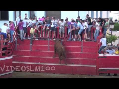 NOVALLAS vacas domingo 30 junio 2013