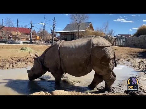 Happy National Unicorn Day From Joona!