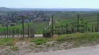 preview picture of video 'Weinwanderung in Langenlonsheim am 28. April 2012'