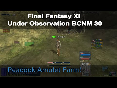 FFXI - Under Observation BCNM/30