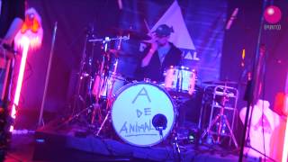 A DE ANIMAL - DÍA NEGRO (LA BARRANCA COVER) @LEMON 23/05/2014