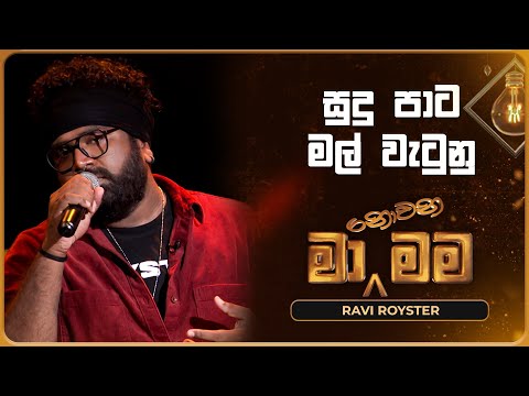 Sudu Pata Mal Watunu (සුදු පාට මල් වැටුනු) | Ravi Royster | Ma Nowana Mama | TV Derana