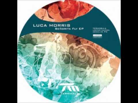 Luca Morris - Technics 1210 (Original Mix)