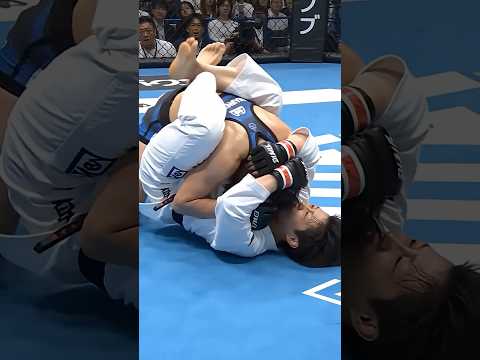 【パウンドを耐えて首固めで逆転】柔道 vs 総合格闘技 #異種格闘技戦 #judo