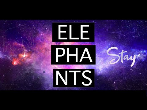 Elephants - Elephants - Stay feat. Jayk [Official Lyrics Video]
