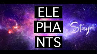 Video Elephants - Stay feat. Jayk [Official Lyrics Video]