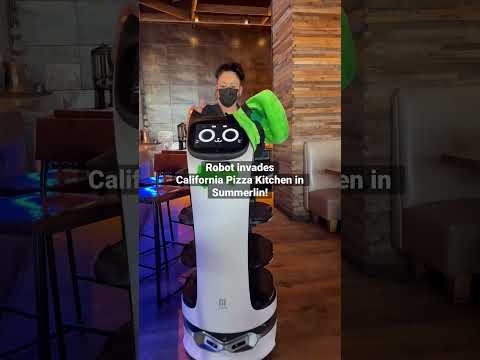 Trabalhador robô na California Pizza Kitchen em Summerlin!