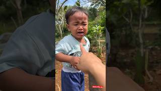 Download lagu Setiap Lebaran pasti sedih #minivlog #anakdesa #hidupdidesa #davidsunairi #lebaran #iduladha mp3