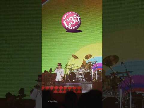 L'Archive｜Pretty girl