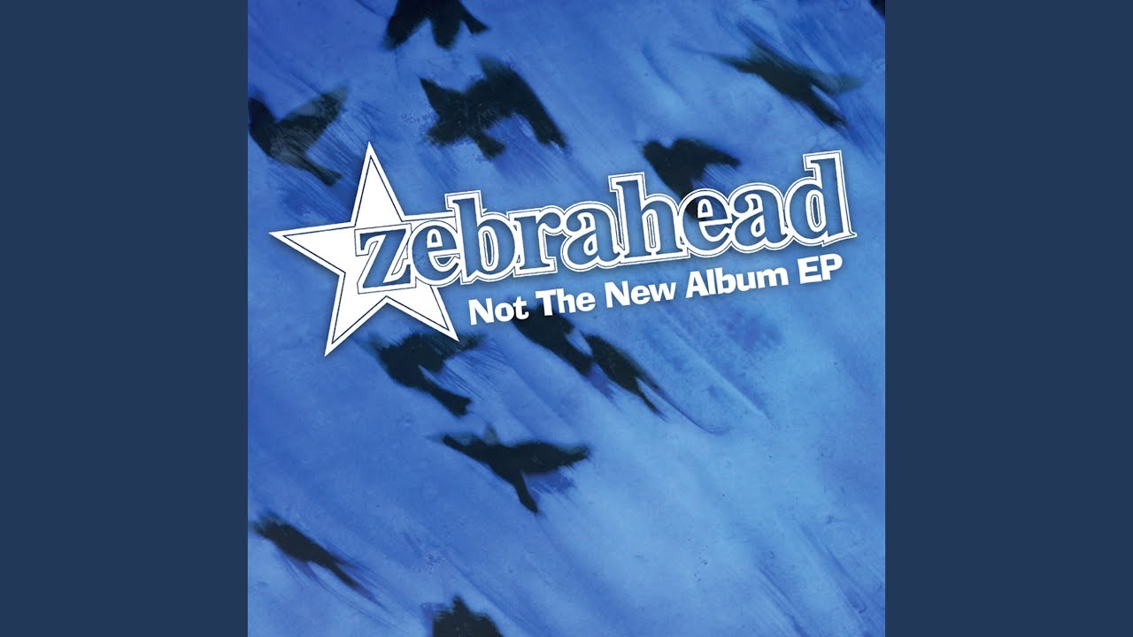 Zebrahead - We're Not A Cover Band, We're A Tribute Band