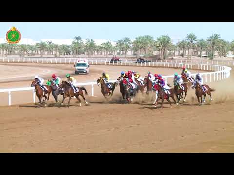 الشوط الأول - السباق الثالث- 02/11/2018 - Race 1 3rd meeting