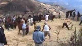 preview picture of video 'Fiesta patronal San Cayetano, Huancas 2009 - Parte 9 - LA TRILLA'