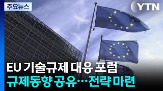 '미 관세'에 이은 'EU 기술규제'...공동 해법 모색 / YTN