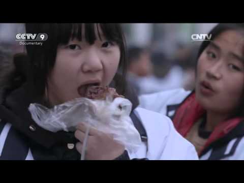 download lagu mp3 mp4 University Entrance, download lagu University Entrance gratis, unduh video klip University Entrance