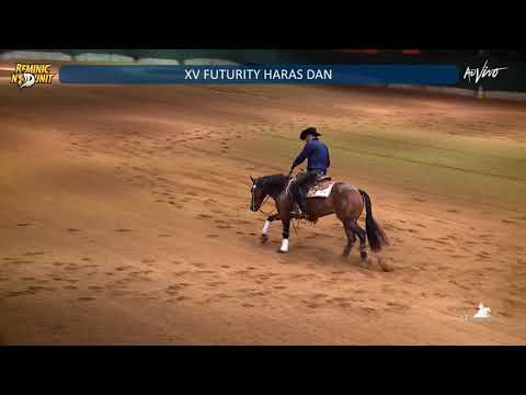 Whiz a Machine Gun & João Felipe Lacerda