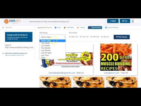 Data JEO Review DEMO Data JEO Bonus Video 4 - Using The Domain Search
