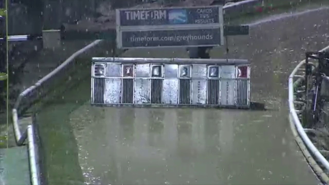 Carreras de Galgos - Sheffield 2021