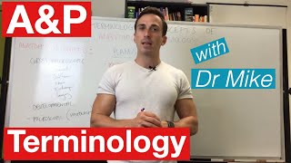 Basic terminology and concepts of Anatomy and Physiology