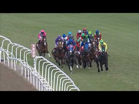 2020.08.29 Mercury Sprint (RSA) - Van Halen