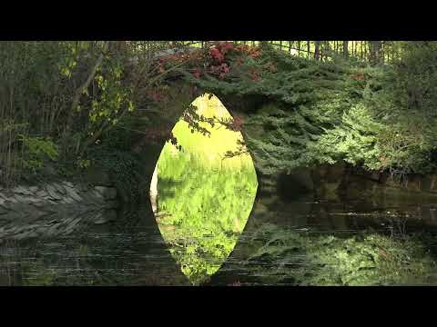 Herbst 2023 em Viena em outubro - Neue Donau - Wasserpark - Jedlsee - Bisamberg bei Stammersdorf