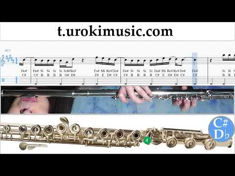How to play Shakira - Acróstico on Flute Tabs Notes Solo
