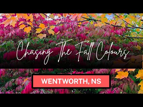 Chasing The Fall Colours - NS Canada