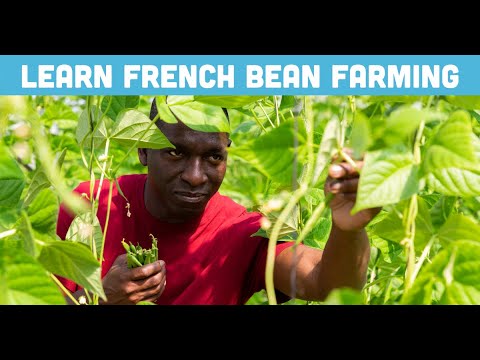 Profitable Pig Farming and Best Practices for success Course Outline