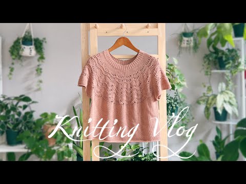 Knitting Log | Dropstrokes' Needlework Party, Perfect for Summer Yarn 📜249-21 Peace Dove