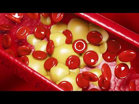 Síla doplňků stravy s oxidem dusnatým pro sportovce