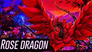 Deck Rose Dragon