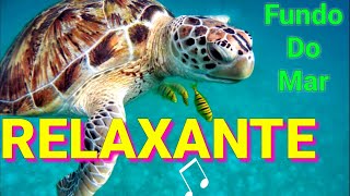 Do Fundo Do Mar Para Acalmar