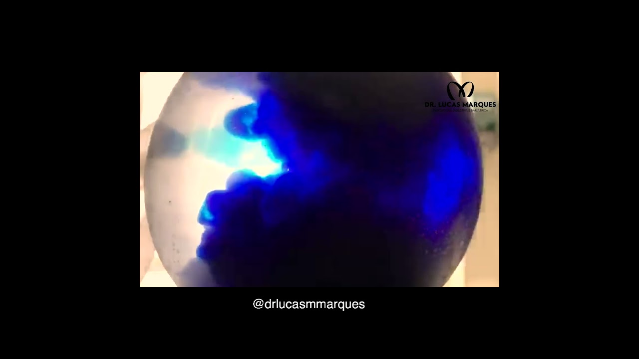 Lucas Menezes Marques-5