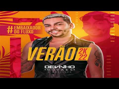 DEVINHO NOVAES  - CD VERÃO 2022