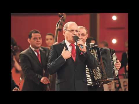 Nelu Ploiesteanu - Salcamule de la drum