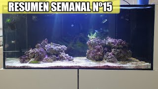 ✅ RESUMEN SEMANAL Nº15