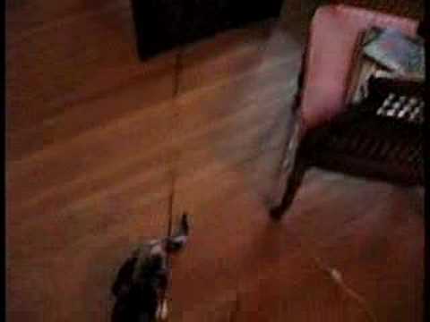 Eloise and the balloon