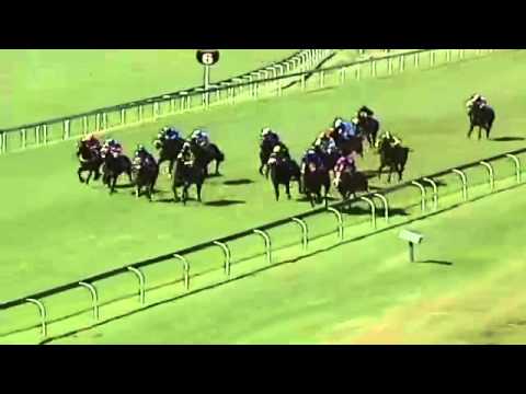 Watch Willow Magic (Dubawi) win the G1 S A Nursery Stakes at Turffontein, SA, 2013