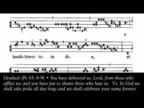GRADUAL, Liberásti nos, Dómine, ex affligéntibus nos: et eos, qui nos odérunt, confudísti