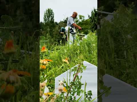 MEZARLIKLARDA YAZ BAKIMI VE TEMİZLİK ÇALIŞMALARI ARALIKSIZ SÜRÜYOR