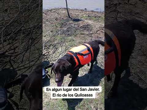 Rio San Javier. Cayasta. Santa Fe.