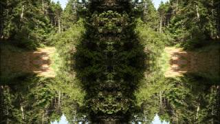 Evolution - B-S-W-P-S-S (Chill-Core-Mix)
