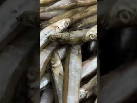 #music #beats #slowedandreverb #halloween #remix #seafood #food  #fish #fishing #youtubeshorts