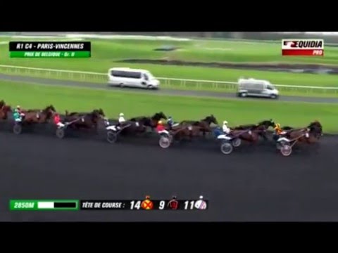Bold Eagle-Prix de Belgique 2016