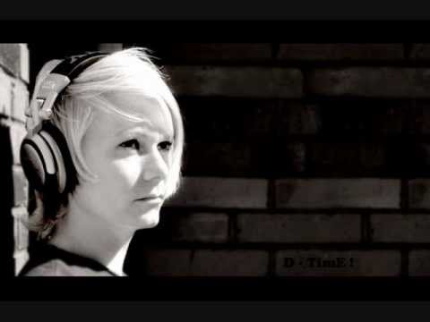 Avicii - Levels Vs. Sandro Silva - Epic   |   D-TimE !