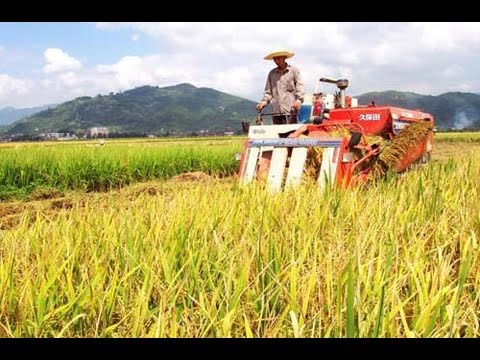 Rural Chinese Farmers