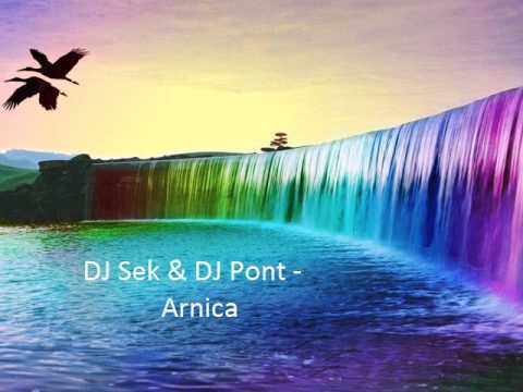 DJ Sek & DJ Pont - Arnica