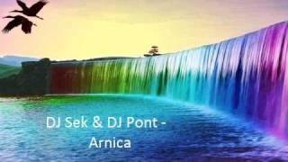 DJ Sek & DJ Pont - Arnica